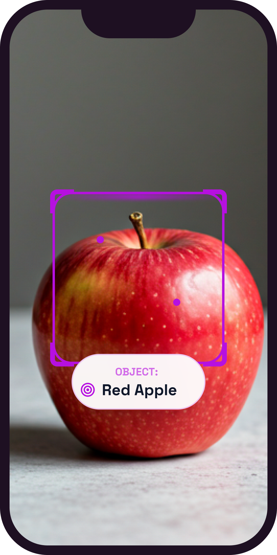 AI Scanner - Object Identifier step 1
