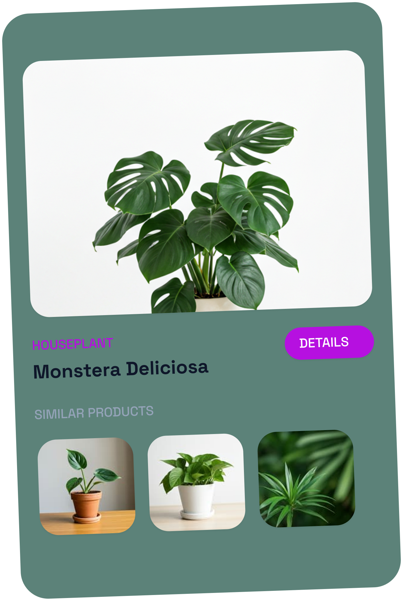 AI Scanner - Object Identifier step 3